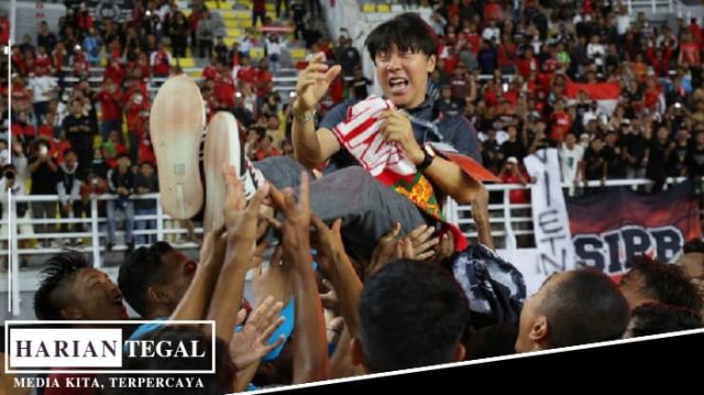 shin tae yong
